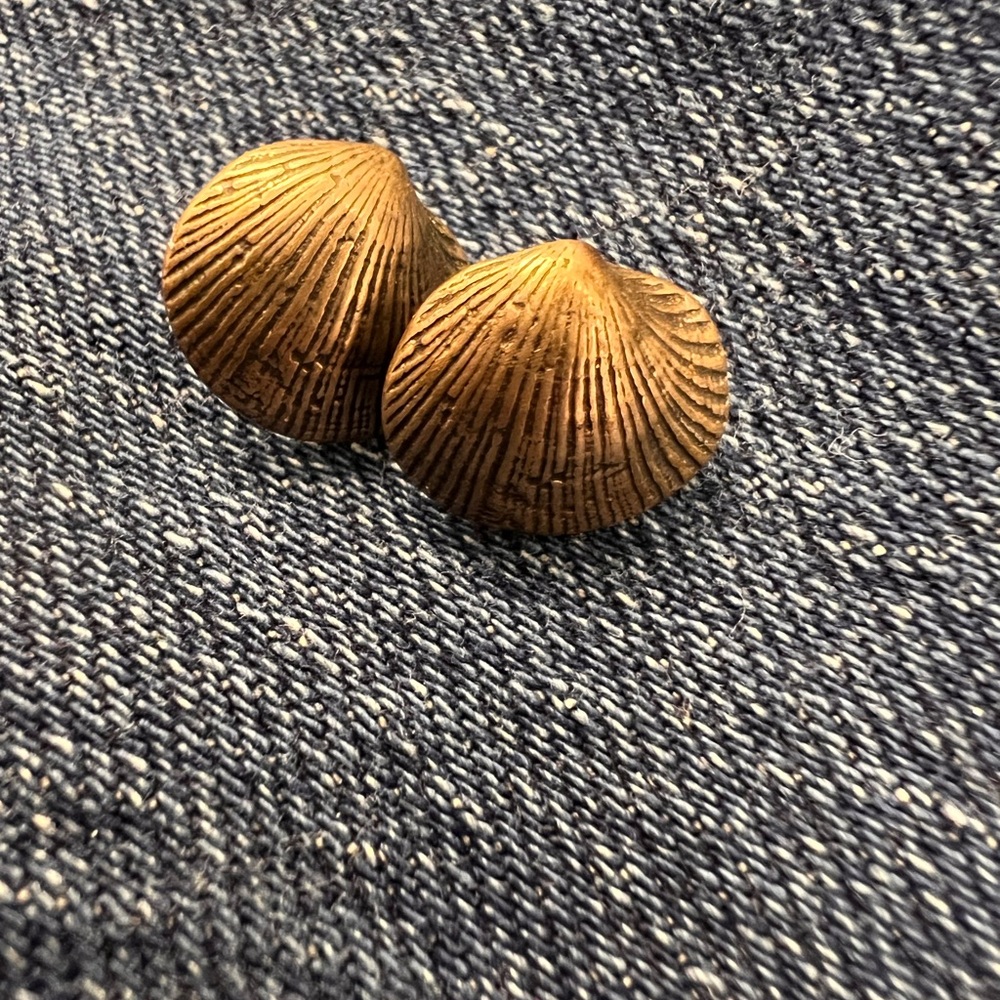 Sterling Silver Shell-Shaped Earrings